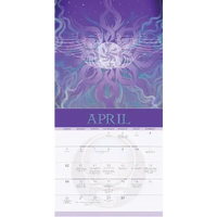 2026 Grateful Dead Wall Calendar Housewares
