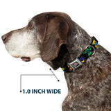 Dog wearing a collar with a 1.0 inch wide measurement label.