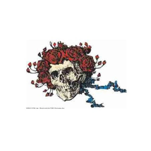 Skull with red roses on a white background