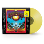Vinyl record with colorful cover featuring a skull and abstract designs, on a white background.