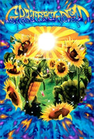 Grateful Dead - Blue Terrapin Sunflower Poster - Posters