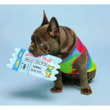 Dog wearing a colorful shirt holding a Grateful Dead concert ticket on a light blue background