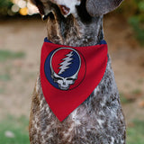 Dog wearing a red bandana with a Grateful Dead logo