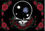 Grateful Dead - Space Your Face Roses Magnet - Refrigerator Magnets