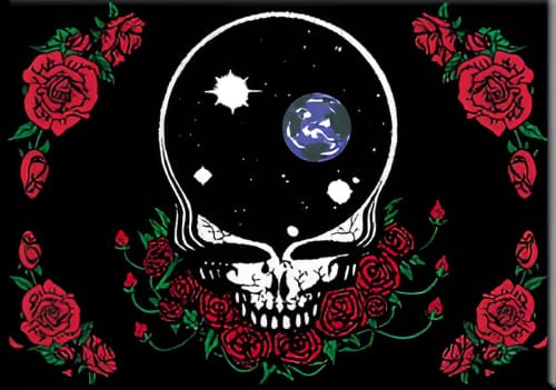 Grateful Dead - Space Your Face Roses Magnet - Refrigerator Magnets