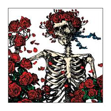 Grateful Dead - Botón Cuadrado Esqueleto y Rosas